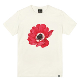 red_anemone